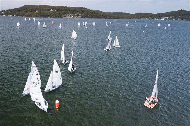 2022 Allen Flying 11 Australian Championships photo copyright Mark Rothfield taken at Gosford Sailing Club and featuring the Flying 11 class