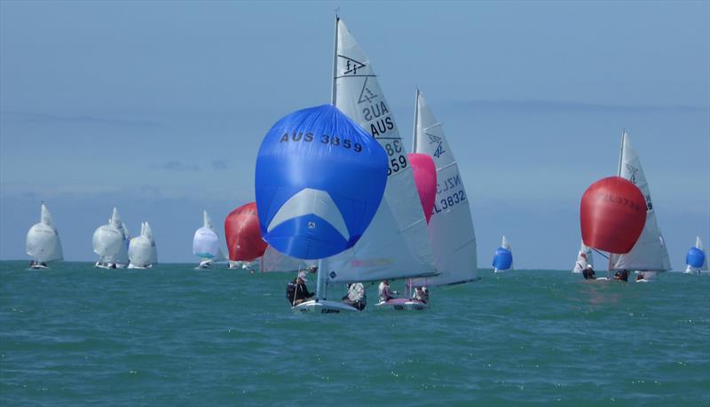 Flying Fifteen NZ Championship in Napier photo copyright Jonny Fullerton taken at Napier Sailing Club and featuring the Flying Fifteen class