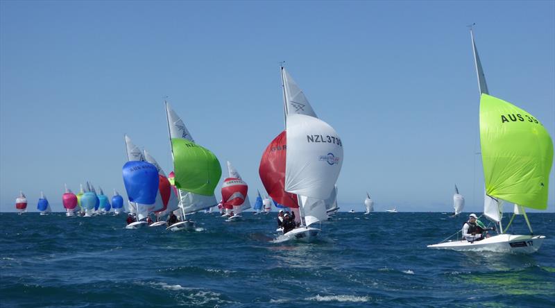 Downwind on day 4 of the Flying Fifteen Worlds at Napier photo copyright Jonny Fullerton taken at Napier Sailing Club and featuring the Flying Fifteen class