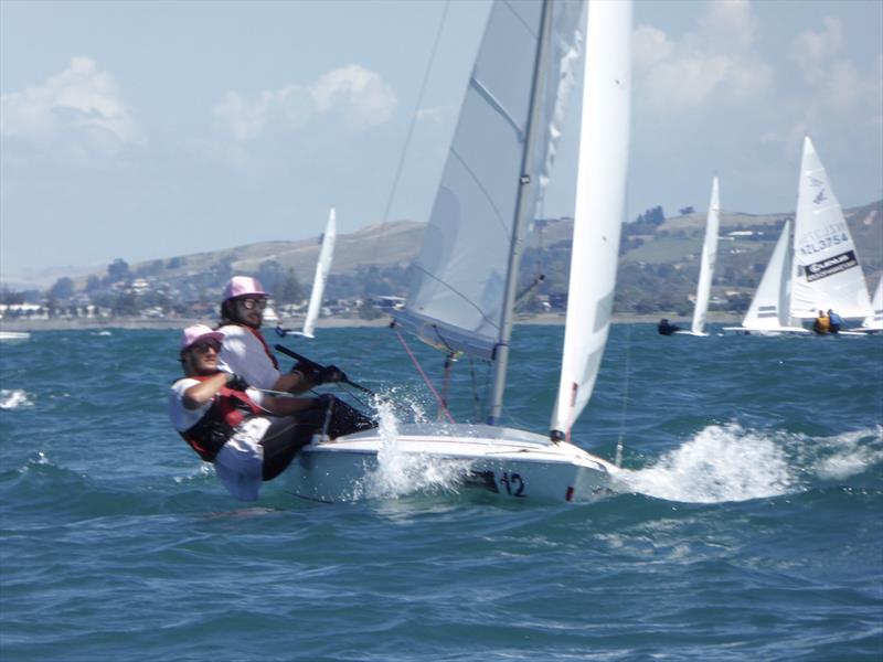 The Pink Flamingos on day 4 of the Flying Fifteen Worlds at Napier photo copyright Jonny Fullerton taken at Napier Sailing Club and featuring the Flying Fifteen class