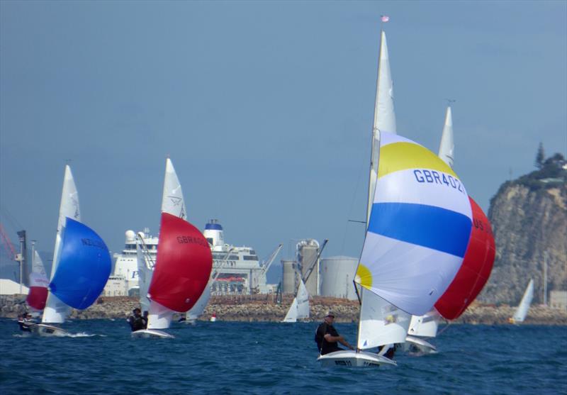 Race 6 leaders on day 5 of the Flying Fifteen Worlds at Napier photo copyright Jonny Fullerton taken at Napier Sailing Club and featuring the Flying Fifteen class