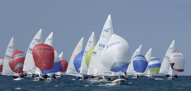 The fleet downwind on day 5 of the Flying Fifteen Worlds at Napier photo copyright Jonny Fullerton taken at Napier Sailing Club and featuring the Flying Fifteen class