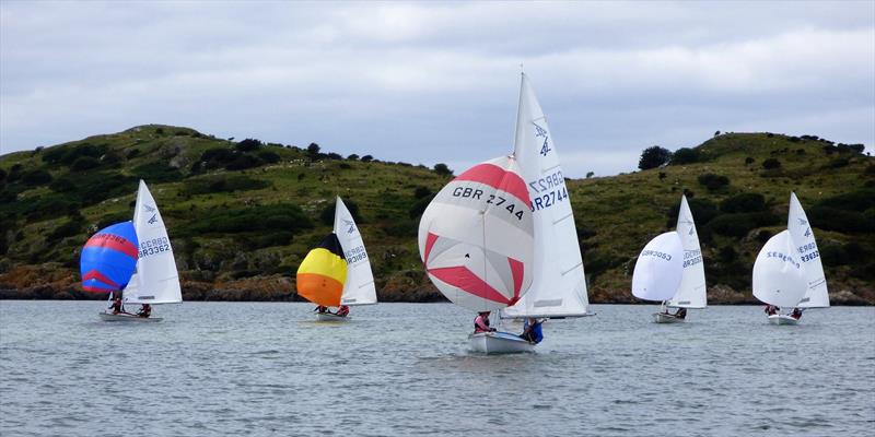 Flying Fifteen fleet, spinnakers flying with Gordon Daly and Jane Gascoigne leading during Solway YC Kippford Week photo copyright Becky Davison taken at Solway Yacht Club and featuring the Flying Fifteen class