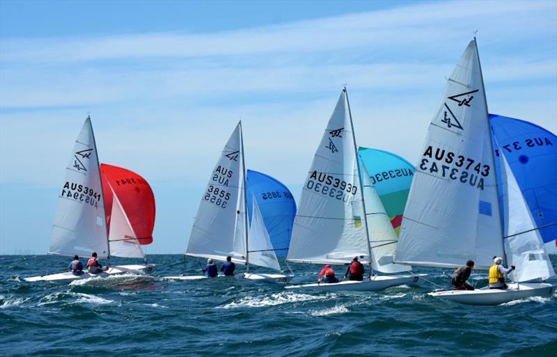 Day 3, downwind – Flying Fifteen Australian Championships at Mornington YC photo copyright Sonja Dowdle taken at Mornington Yacht Club and featuring the Flying Fifteen class