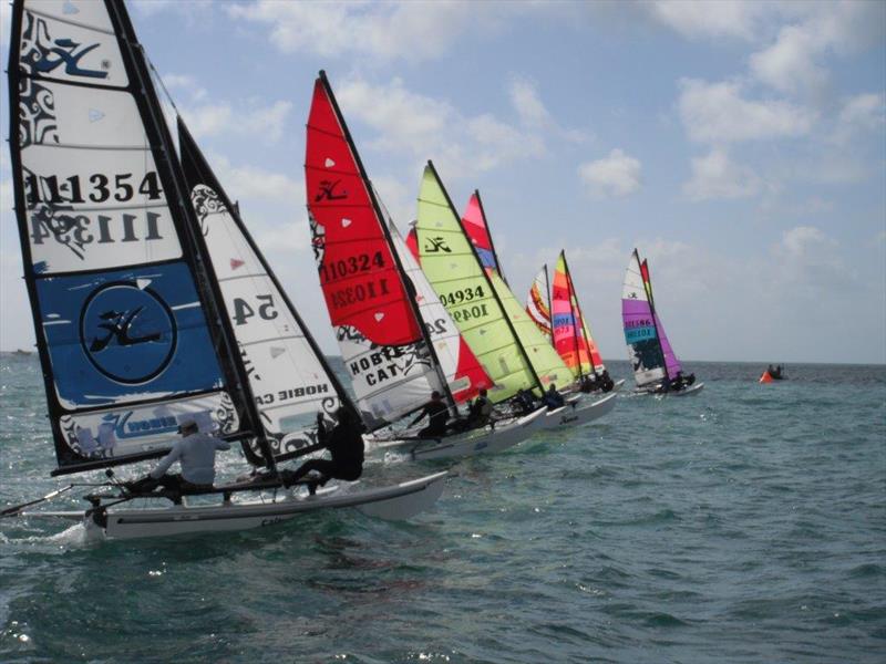 Hobie 16s at the Stonehage Channel Islands Hobie Cat Championships 2014 - photo © Elaine Burgis