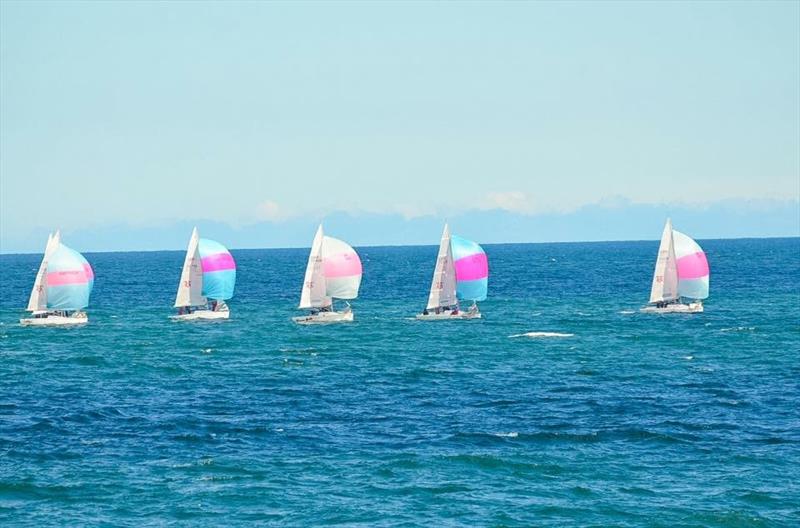 Close sailing and light winds at the 707 Nationals photo copyright Karen Temple taken at Scarborough Yacht Club and featuring the 707 class