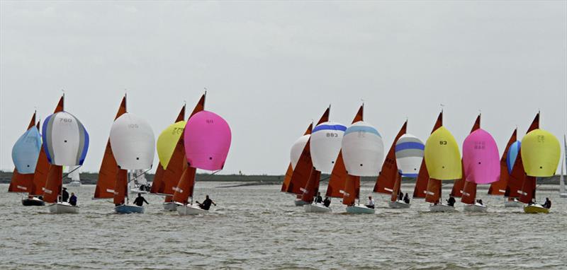 Squib Gold Cup photo copyright photosail taken at  and featuring the  class