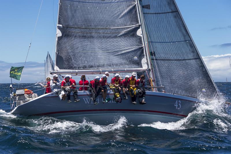 Roger Hickman's Wild Rose's crew are under no illusion in the Rolex Sydney Hobart photo copyright Carlo Borlenghi / Rolex taken at Cruising Yacht Club of Australia and featuring the IRC class