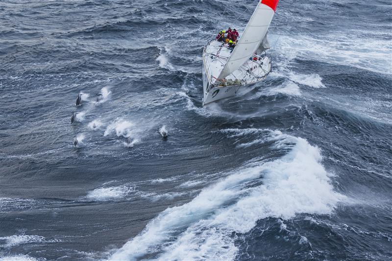 Brindabella with dolphins off Tasman Island in the Rolex Sydney Hobart Yacht Race photo copyright Carlo Borlenghi / Rolex taken at Cruising Yacht Club of Australia and featuring the IRC class