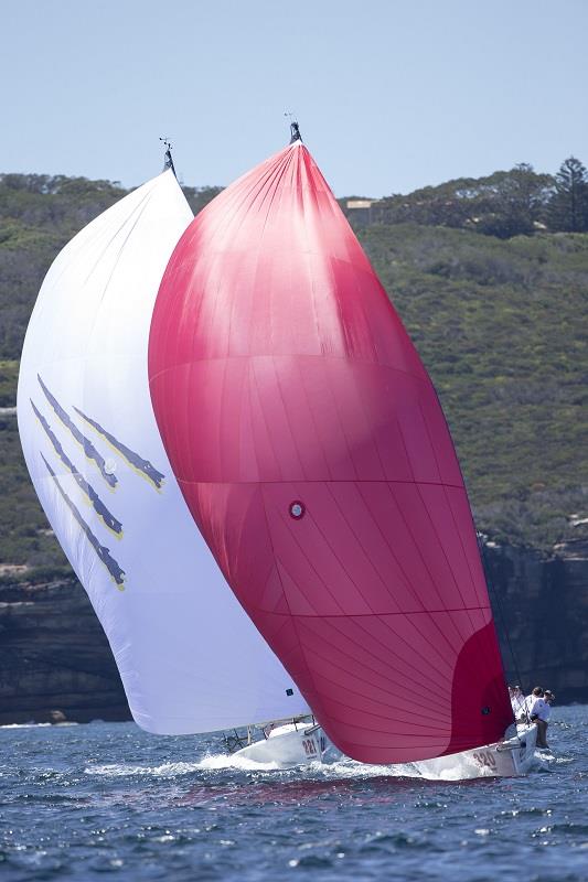 Easy Tiger and Rock N' Roll on day two of the Sydney Harbour Regatta photo copyright Andrea Francolini taken at Middle Harbour Yacht Club and featuring the IRC class