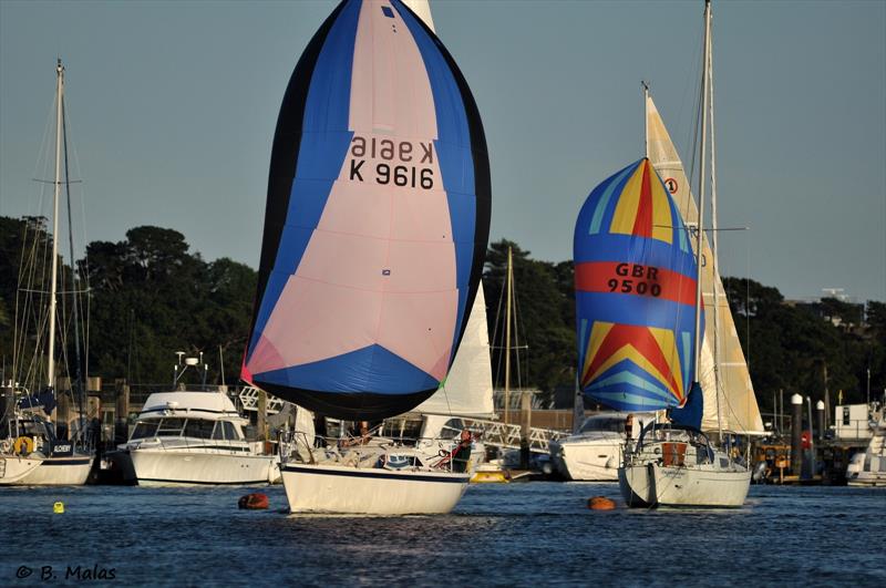 Vice Commodore Barney Smith concentrating on Imptish on Hamble River SC's 'Big Wednesday' photo copyright Bertrand Malas taken at Hamble River Sailing Club and featuring the IRC class