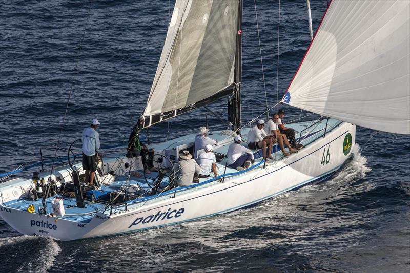 Tony's Kirby's year old Patrice has made a big impression in the Rolex Sydney Hobart photo copyright Daniel Forster / Rolex taken at Cruising Yacht Club of Australia and featuring the IRC class