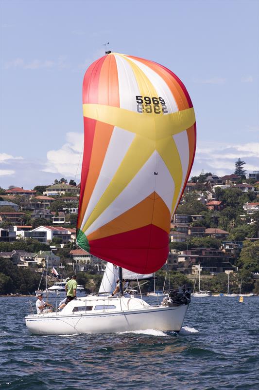 2014 Cavalier 28 winner 'Scuttlebutt' is back photo copyright Andrea Francolini taken at Middle Harbour Yacht Club and featuring the IRC class
