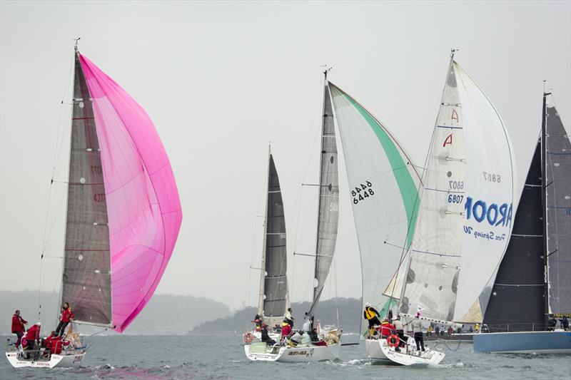 A lovely way to spend Sunday during race 9 of the CYCA Land Rover Winter Series - photo © David Brogan / www.sailpix.com.au