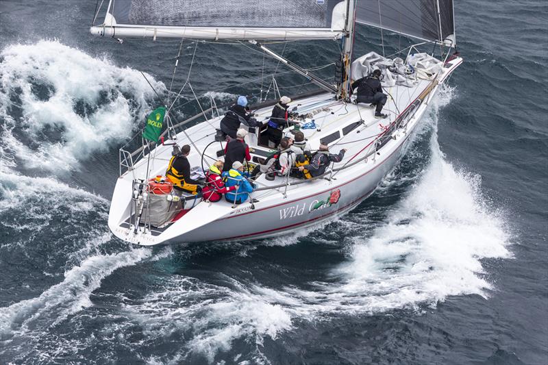 Wild Rose, the 2014 overall winner of the Rolex Sydney Hobart Yacht Race photo copyright Rolex / Carlo Borlenghi taken at Cruising Yacht Club of Australia and featuring the IRC class