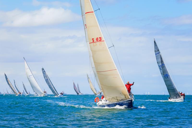 Festival of Sails Melbourne to Geelong Passage Race photo copyright Craig Greenhill / Saltwater Images taken at Royal Geelong Yacht Club and featuring the IRC class
