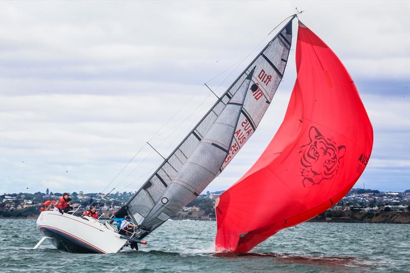 Flying Tiger on day 3 of the Festival of Sails photo copyright Craig Greenhill / Saltwater Images taken at Royal Geelong Yacht Club and featuring the IRC class