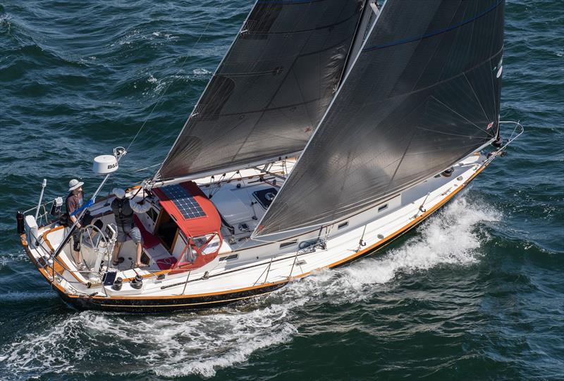 Yankee Girl, a Morris Justine 36 skippered by Zachary Lee, winner of the Double-Handed Division in the 2016 Newport Bermuda Race - photo © Barry Pickthall / PPL