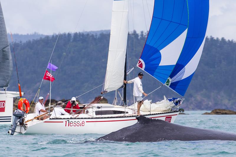 A whale and Nessie on day 1 at Audi Hamilton Island Race Week photo copyright Andrea Francolini taken at Hamilton Island Yacht Club and featuring the IRC class