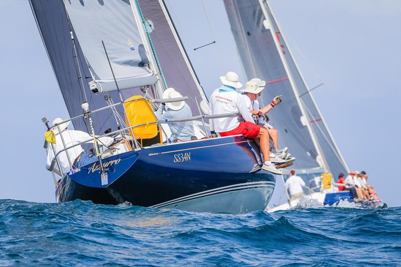 Komatsu Azzurro at Sail Port Stephens 2015 photo copyright Craig Greenhill / Saltwater Images taken at Royal Geelong Yacht Club and featuring the IRC class