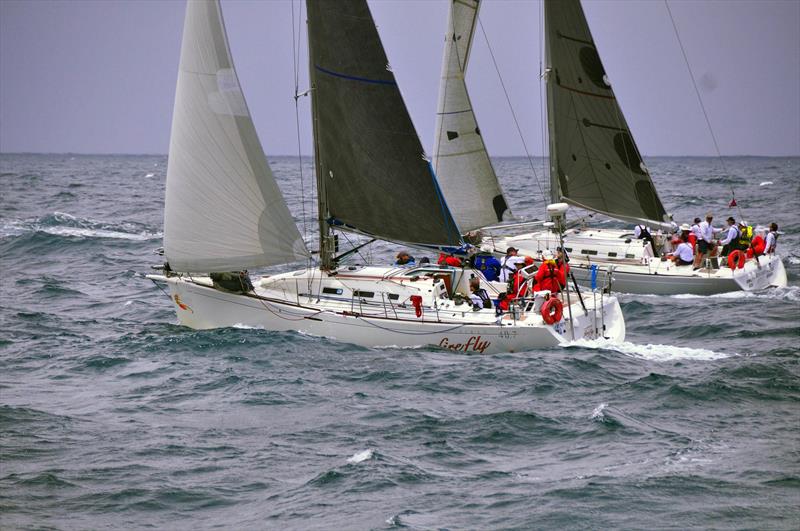 Firefly and Reverie during the Club Marine Pittwater to Southport Yacht Race start - photo © Bob Fowler