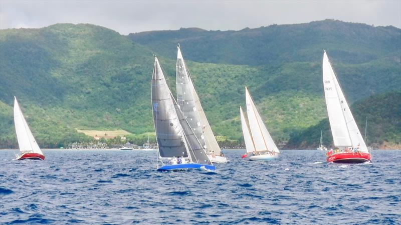 Nelson Pursuit Race photo copyright Louay Habib taken at Antigua Yacht Club and featuring the IRC class