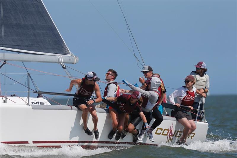 The College of Charleston OffshoreSailing Team-crewed Cougar on day 1 at Charleston Race Week photo copyright Charleston Race Week / Tim Wilkes taken at Charleston Yacht Club and featuring the IRC class