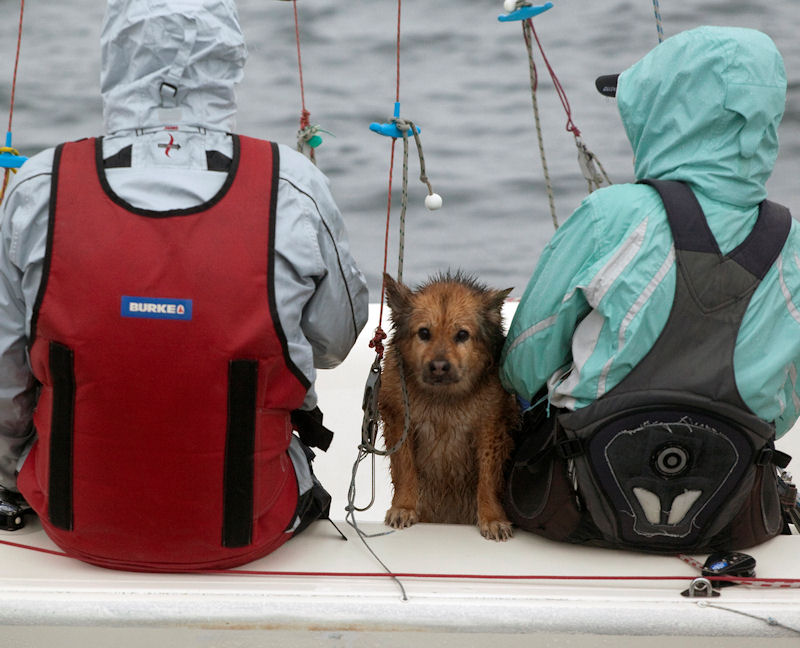 The RHKYC relocates to Port Shelter, Sai Kung for the Class Regatta