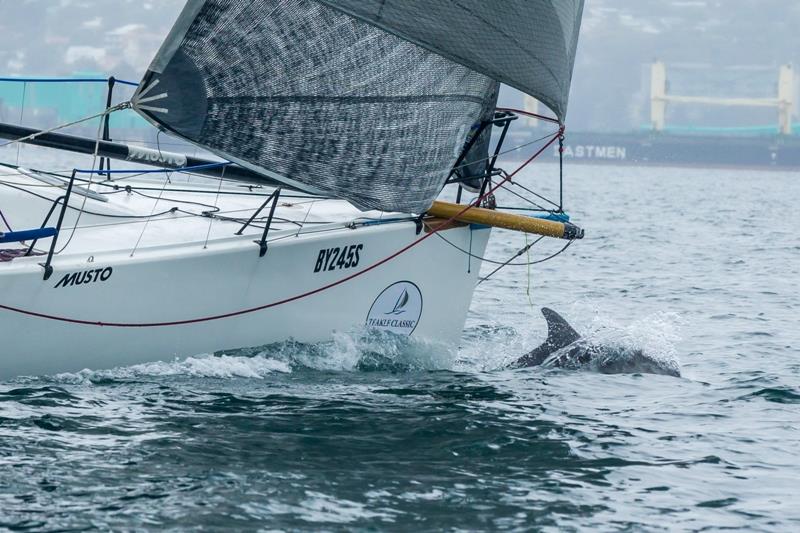 Day 3 - Dolphins jumped up at the bow of Aikin Hames Sharley – Teakle Classic Lincoln Week - photo © Take 2 Photography