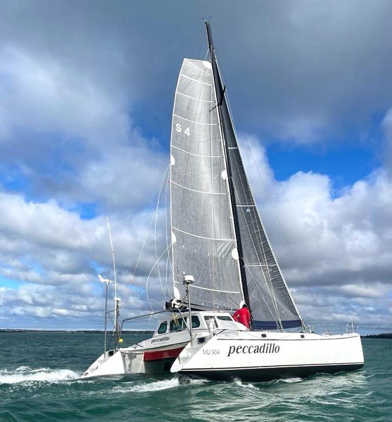 Peccadillo, the 1st multihull in 30 years, aims for Westcoaster record - Melbourne to Hobart Yacht Race photo copyright Steph McDonald taken at Ocean Racing Club of Victoria and featuring the IRC class