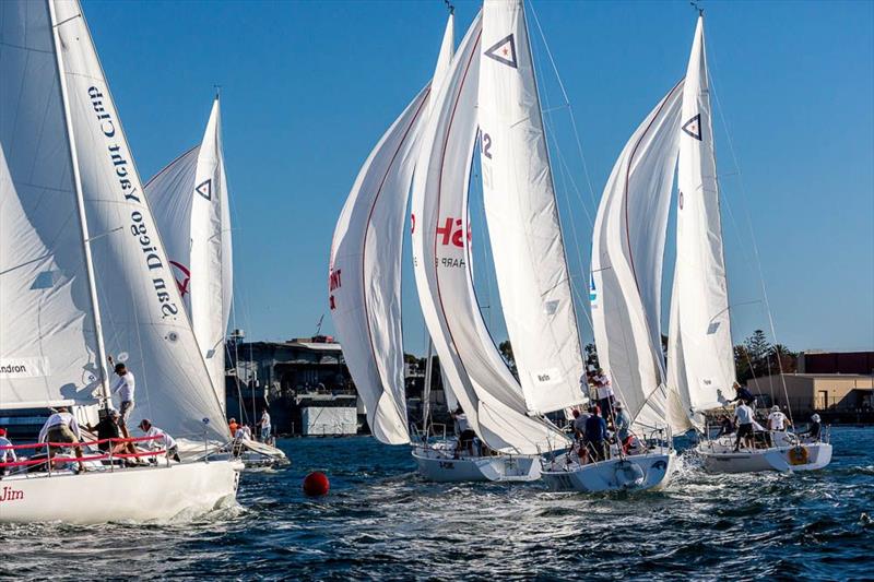 International Masters Regatta in San Diego photo copyright Cynthia Sinclair and Mark Albertazzi taken at San Diego Yacht Club and featuring the J105 class