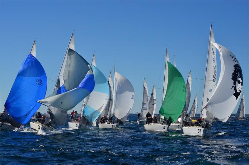 J/24 World Championship at Newport, Rhode Island day 2 photo copyright Christopher Howell taken at Sail Newport and featuring the J/24 class