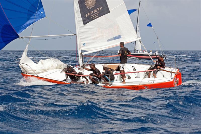 Close racing within the strong J/24 fleet in the last Mount Gay Round Barbados Race Series photo copyright Peter Marshall taken at Barbados Cruising Club and featuring the J/24 class