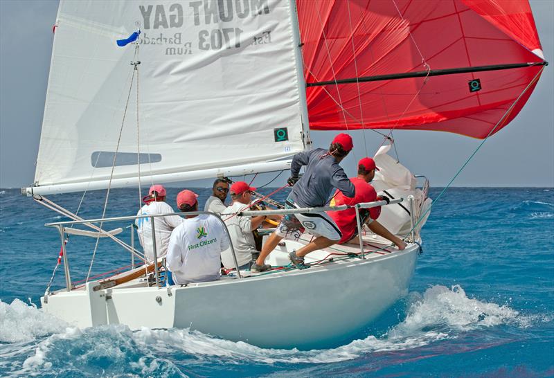 Mount Gay Round Barbados Race Series 2014 photo copyright Peter Marshall / MGRBR taken at Barbados Cruising Club and featuring the J/24 class