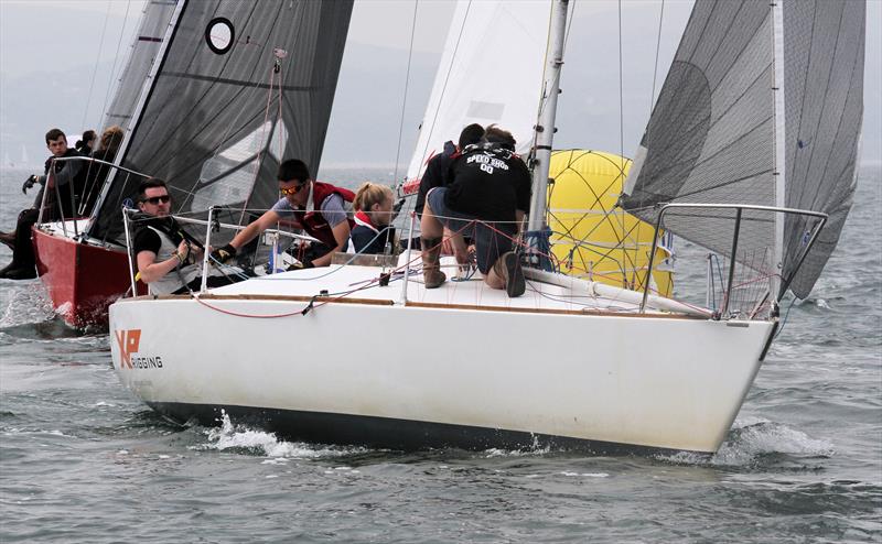 Team XP during the International Paint Poole Regatta photo copyright Mark Jardine taken at Parkstone Yacht Club and featuring the J/24 class