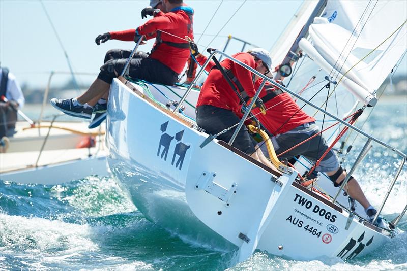Jack Fullerton's immaculate Two Dogs - 2018 Monjon J24 Nationals – Day 3 photo copyright Luis Ferreiro taken at Sandringham Yacht Club and featuring the J/24 class