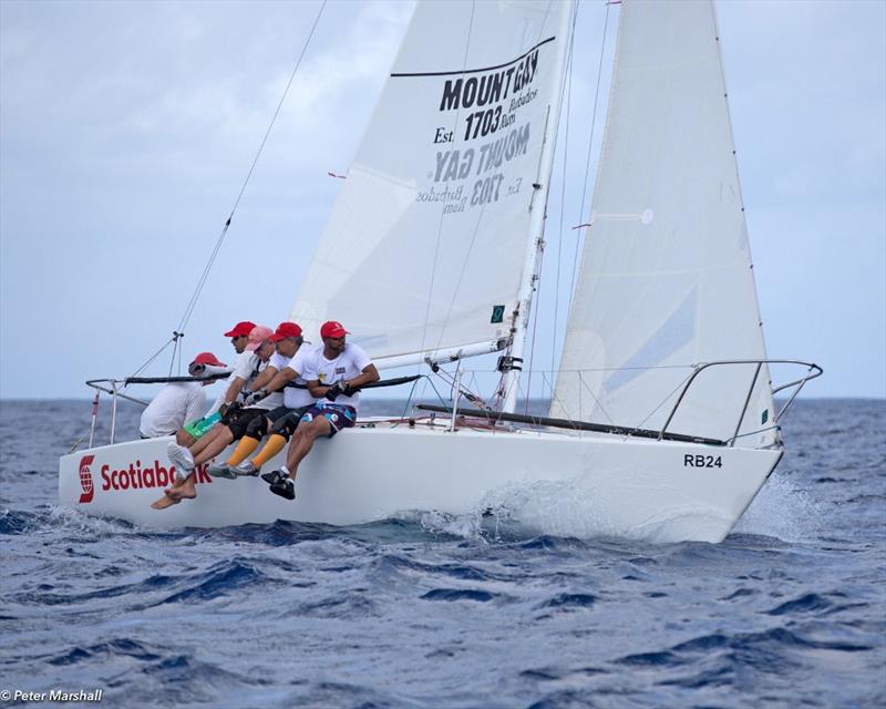 Cyril Lecrenay's team on Bunga Bunga sailed a good series to finish second overall - Barbados Sailing Week 2018 photo copyright Peter Marshall / BSW taken at Barbados Cruising Club and featuring the J/24 class