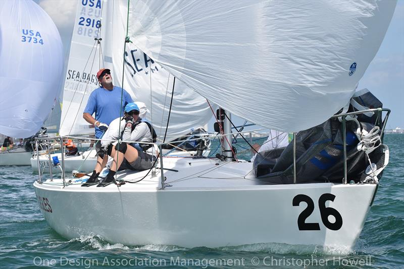 2018 J 24 Midwinter Championship - Day 1 photo copyright Christopher Howell taken at  and featuring the J/24 class