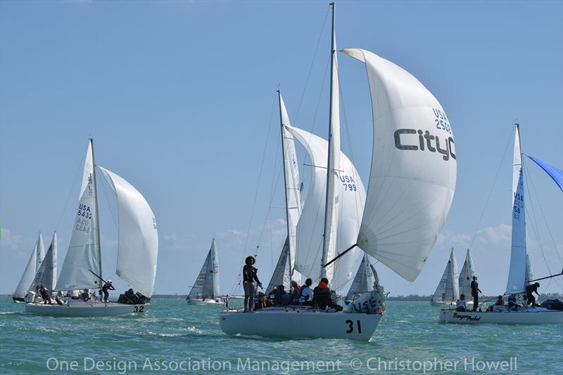 2018 J/24 Midwinter Championship - Day 3 photo copyright Christopher Howell taken at  and featuring the J/24 class