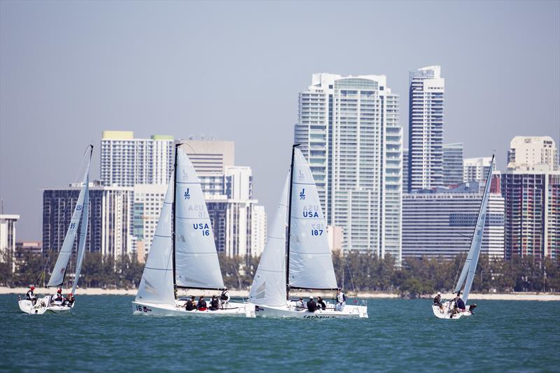 Muse, That 70's Show, Catapult, and Nightmare sailing at 2013 Bacardi Miami Sailing Week photo copyright Cory Silken / BMSW taken at Biscayne Bay Yacht Club and featuring the J70 class