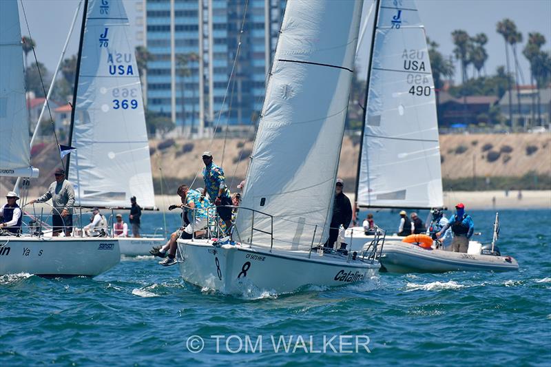 2018 Ullman Sails Long Beach Race Week - Day 3 photo copyright Tom Walker taken at Long Beach Yacht Club and featuring the J70 class