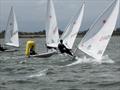 Craftinsure Laser Connaught Championship in Wexford Harbour © Rod Daniel