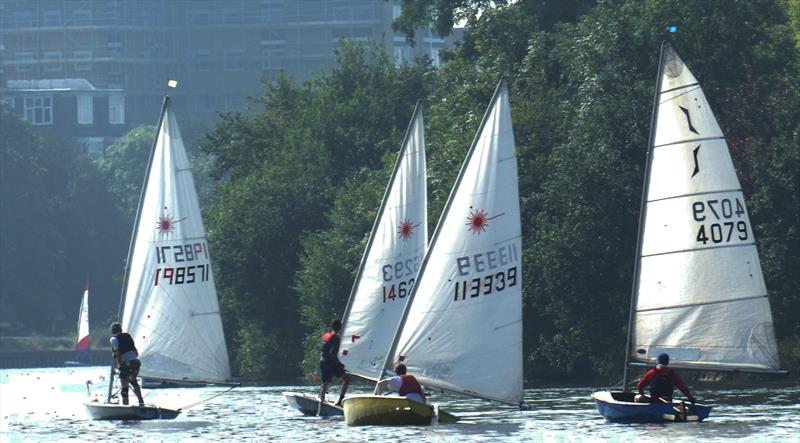 Andy Banks in the winning Solo alongside the leading Lasers, under the trees of Hampton Court Home Park at the Minima Regatta photo copyright Rob Mayley taken at Minima Yacht Club and featuring the ILCA 7 class
