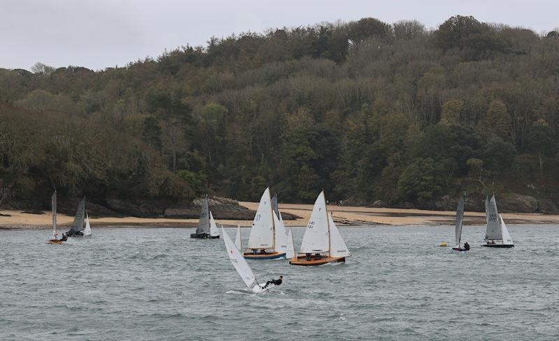 Salcombe Yacht Club Winter Series Race 1 photo copyright Lucy Burn taken at Salcombe Yacht Club and featuring the ILCA 7 class