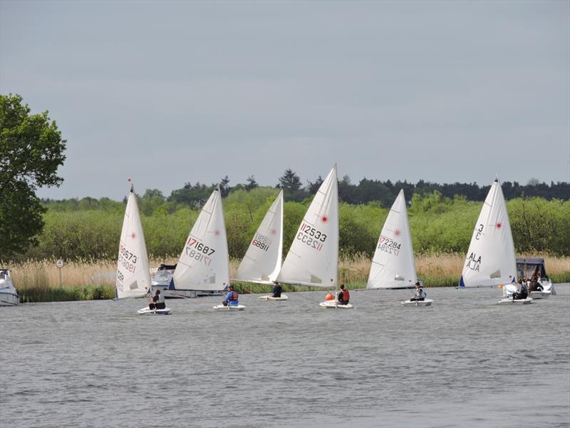 Single-Handed dinghies at Horning Sailing Club photo copyright Holly & Robert Hancock taken at Horning Sailing Club and featuring the ILCA 6 class