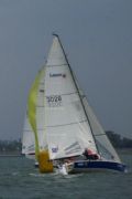 Hot racing for the Singapore SB3 fleet at the Tiger Trophy
