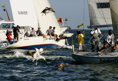 Sea birds flock for a close-up view of the title series between Barker (l.) and Coutts on the final day of the Congressional Cup photo copyright Rich Roberts taken at Long Beach Yacht Club and featuring the Match Racing class