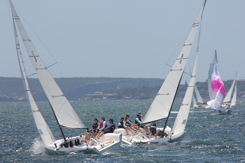 Perfect match racing conditions on the Harbour on day 1 of the Musto International Youth Match Racing Championship photo copyright CYCA Staff taken at Cruising Yacht Club of Australia and featuring the Match Racing class