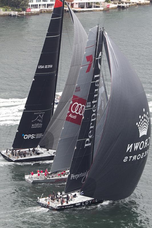 Perpetual Loyal, Wild Oats XI and Comanche at the SOLAS Big Boat Challenge on Sydney Harbour photo copyright Andrea Francolini taken at Cruising Yacht Club of Australia and featuring the Maxi class