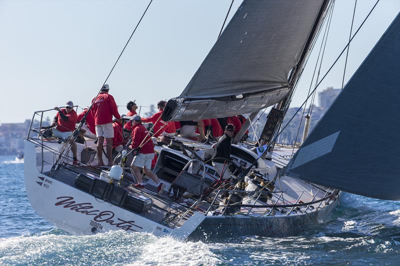 Wild Oats XI in the 2017 Land Rover Sydney Gold Coast Yacht Race  photo copyright Andrea Francolini taken at Cruising Yacht Club of Australia and featuring the Maxi class